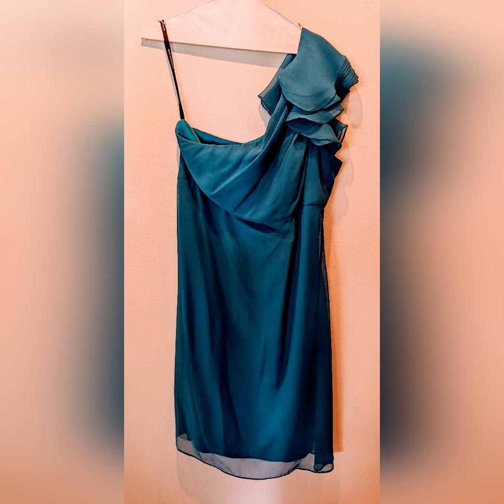 Dessy Collection Silk chiffon one shouldered ruffle dress size 10